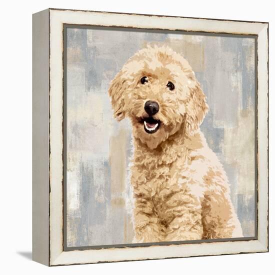 Poodle-Keri Rodgers-Framed Stretched Canvas