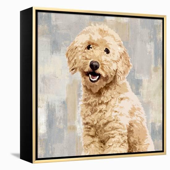 Poodle-Keri Rodgers-Framed Stretched Canvas