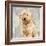 Poodle-Keri Rodgers-Framed Art Print