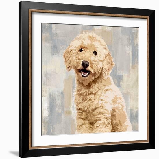 Poodle-Keri Rodgers-Framed Art Print