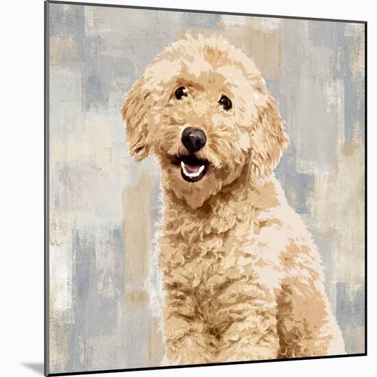 Poodle-Keri Rodgers-Mounted Art Print