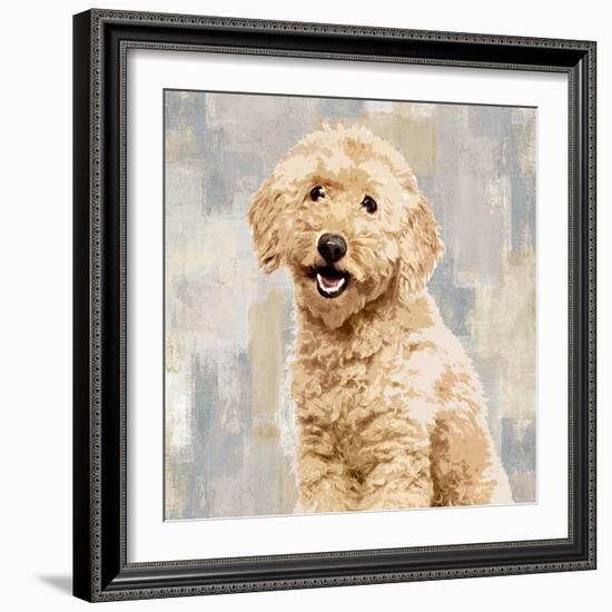 Poodle-Keri Rodgers-Framed Art Print