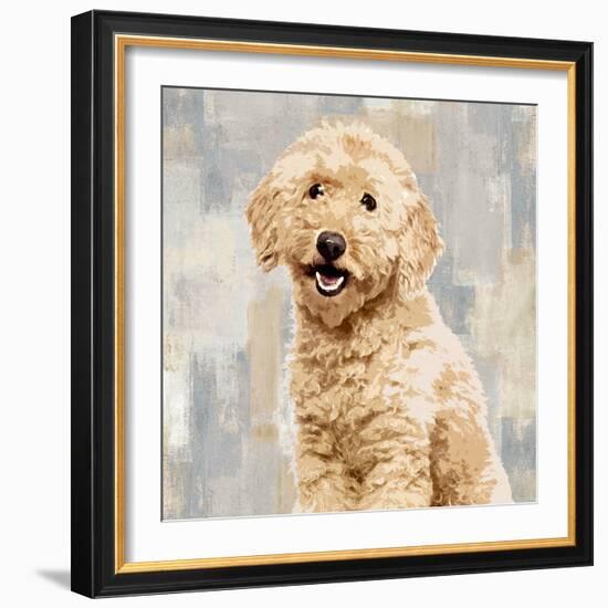 Poodle-Keri Rodgers-Framed Art Print