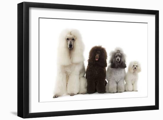 Photographic Print, , large