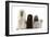 Poodles Row of 4 (Caniche)-null-Framed Photographic Print