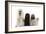 Poodles Row of 4 (Caniche)-null-Framed Photographic Print