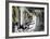 Pooh bear-trap-Banksy-Framed Giclee Print