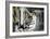 Pooh bear-trap-Banksy-Framed Giclee Print