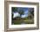 Pool and Baphuon Temple, Angkor Thom Temple Complex, Angkor World Heritage Site-David Wall-Framed Photographic Print