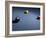 Pool Balls on Blue Felt Pool Table-null-Framed Photographic Print