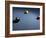 Pool Balls on Blue Felt Pool Table-null-Framed Photographic Print