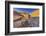 Pool, Colorado River, Moab, Utah-John Ford-Framed Photographic Print