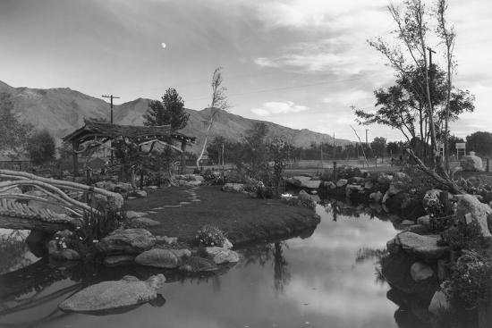 Pool in Pleasure Park-Ansel Adams-Framed Art Print