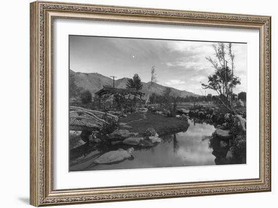 Pool in Pleasure Park-Ansel Adams-Framed Art Print