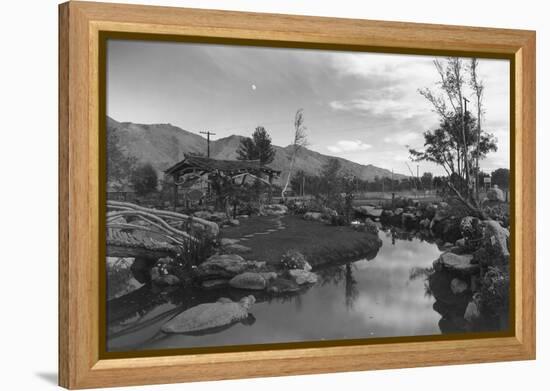 Pool in Pleasure Park-Ansel Adams-Framed Stretched Canvas