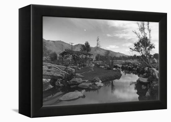 Pool in Pleasure Park-Ansel Adams-Framed Stretched Canvas