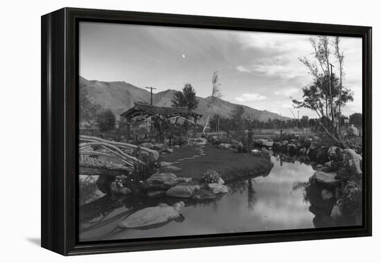 Pool in Pleasure Park-Ansel Adams-Framed Stretched Canvas