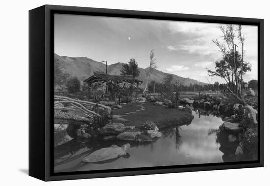 Pool in Pleasure Park-Ansel Adams-Framed Stretched Canvas