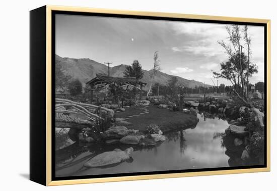 Pool in Pleasure Park-Ansel Adams-Framed Stretched Canvas