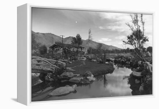 Pool in Pleasure Park-Ansel Adams-Framed Stretched Canvas