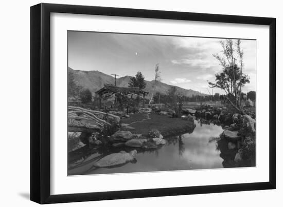 Pool in Pleasure Park-Ansel Adams-Framed Premium Giclee Print