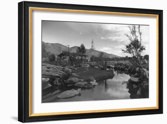 Pool in Pleasure Park-Ansel Adams-Framed Premium Giclee Print