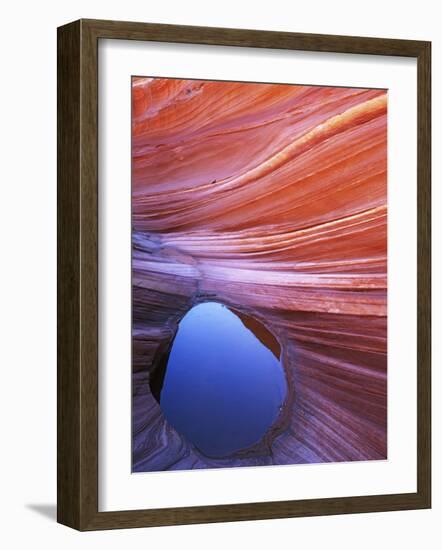 Pool in Sandstone on Colorado Plateau, Paria-Vermilion Cliffs Wilderness National Monument, Arizona-Charles Gurche-Framed Photographic Print