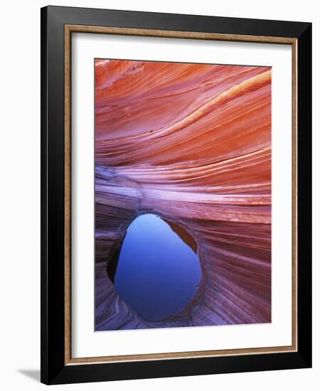 Pool in Sandstone on Colorado Plateau, Paria-Vermilion Cliffs Wilderness National Monument, Arizona-Charles Gurche-Framed Photographic Print