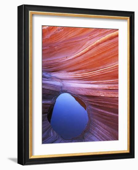 Pool in Sandstone on Colorado Plateau, Paria-Vermilion Cliffs Wilderness National Monument, Arizona-Charles Gurche-Framed Photographic Print