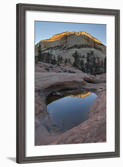 Pool in Slick Rock at Dawn, Zion National Park, Utah, United States of America, North America-James Hager-Framed Photographic Print