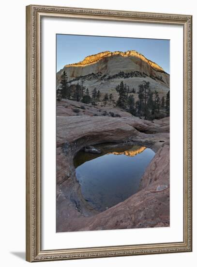 Pool in Slick Rock at Dawn, Zion National Park, Utah, United States of America, North America-James Hager-Framed Photographic Print