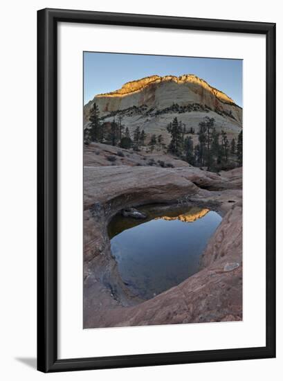 Pool in Slick Rock at Dawn, Zion National Park, Utah, United States of America, North America-James Hager-Framed Photographic Print