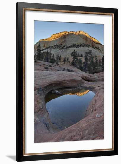 Pool in Slick Rock at Dawn, Zion National Park, Utah, United States of America, North America-James Hager-Framed Photographic Print