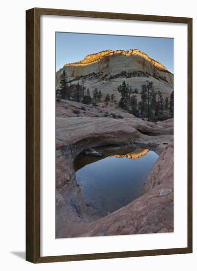 Pool in Slick Rock at Dawn, Zion National Park, Utah, United States of America, North America-James Hager-Framed Photographic Print