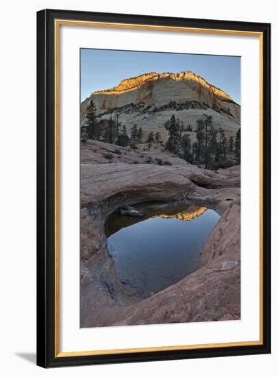 Pool in Slick Rock at Dawn, Zion National Park, Utah, United States of America, North America-James Hager-Framed Photographic Print