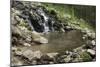 Pool of a natural Hot Spring High in the Jemez Mountains-null-Mounted Photographic Print