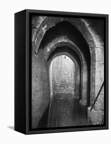 Pool Of Bethesda-null-Framed Premier Image Canvas