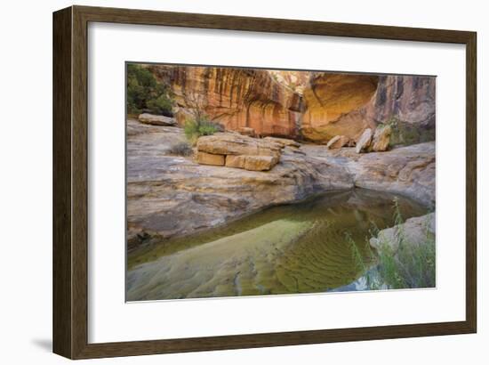 Pool of Water-Don Paulson-Framed Giclee Print