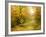 Pool On Road To Autumn Wood-balaikin2009-Framed Art Print