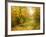 Pool On Road To Autumn Wood-balaikin2009-Framed Art Print