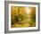 Pool On Road To Autumn Wood-balaikin2009-Framed Art Print