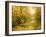 Pool On Road To Autumn Wood-balaikin2009-Framed Art Print