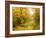 Pool On Road To Autumn Wood-balaikin2009-Framed Art Print