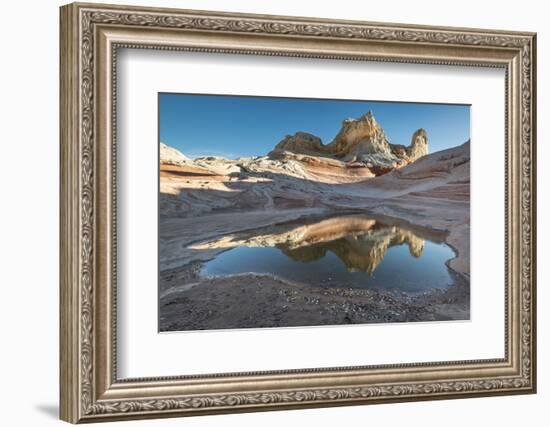 Pool reflection and sandstone landscape, Vermillion Cliffs, White Pocket wilderness, Bureau of Land-Howie Garber-Framed Photographic Print