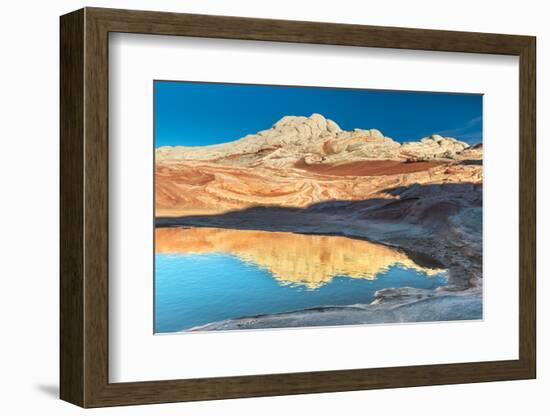 Pool Reflection and Sandstone Landscape, Vermillion Cliffs, White Pockets Wilderness, Bureau of Lan-Howie Garber-Framed Photographic Print