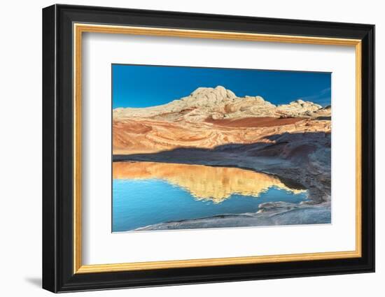 Pool Reflection and Sandstone Landscape, Vermillion Cliffs, White Pockets Wilderness, Bureau of Lan-Howie Garber-Framed Photographic Print