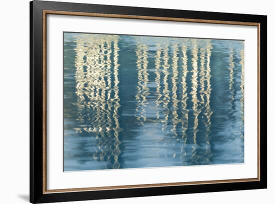 Pool Reflections in MLK Jr, Promenadet, San Diego, California, USA-Jaynes Gallery-Framed Photographic Print