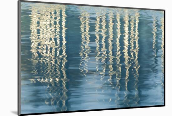 Pool Reflections in MLK Jr, Promenadet, San Diego, California, USA-Jaynes Gallery-Mounted Photographic Print