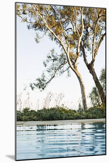Poolside Shade-Karyn Millet-Mounted Photographic Print