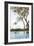 Poolside Shade-Karyn Millet-Framed Photographic Print